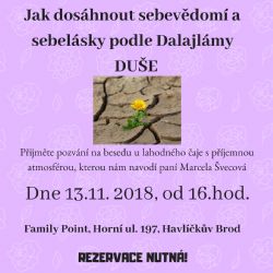 Jak dosáhnout sebevědomí a sebelásky podle Dalajlámy - DUŠE