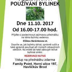 Poznávání a používání bylinek