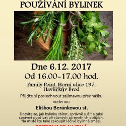 Poznávání a používání bylinek