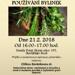 Poznávání a používání bylinek