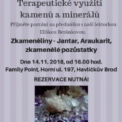 Zkameněliny - Jantar, Araukarit, zkamenělé pozůstatky