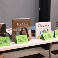 Havlíčkův Brod slaví literární úspěch: Regionální kniha roku vznikla přímo ve městě