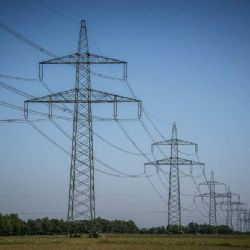 Smrtelné nebezpečí pro ptáky: Energetické firmy chrání sloupy u Havlíčkova Brodu