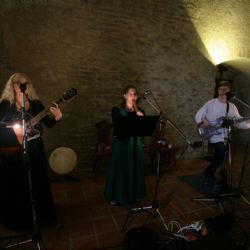 Irská hudba zněla o víkendu na hradě Lipnici