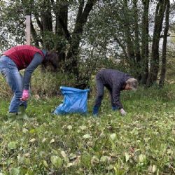 Dobrovolníci z Vysočiny zachraňují rašeliniště a podporují biodiverzitu