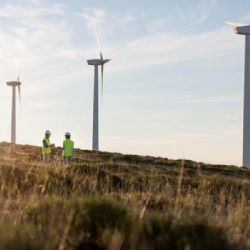 Pardubický kraj schválil větrné elektrárny u Vojtěchova bez ekologického auditu