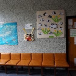 Prodej polikliniky Světlá nad Sázavou nevyšel. Starosta nesouhlasí