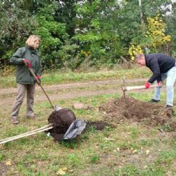 Třešňová stromořadí symbolizují spolupráci Kraje Vysočina a ELEKTROWINU