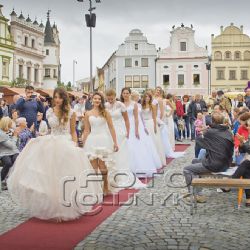 Charitativní módní přehlídka přinesla dětskému oddělení přes deset tisíc korun