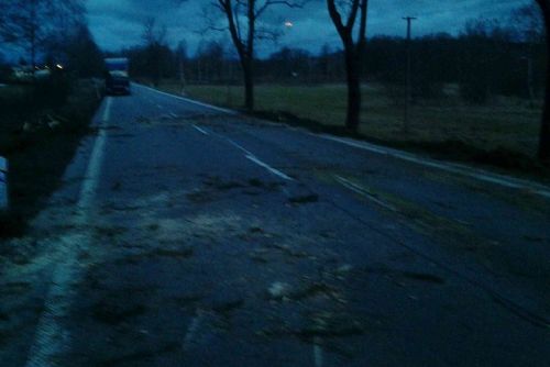 Obrázek - Obrataň na Pelhřimovsku, stromy na cisterně a nákladním vozidle
Foto: HZS Kraje Vysočina