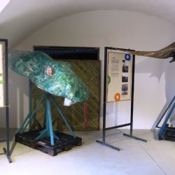 Slona, gorilu i lva z jihlavské zoo obdivujte na zámku ve Žďáru nad Sázavou