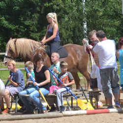 Benefice v psychiatrické nemocnici: Pacientům pomůžou hipoterapií