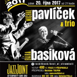 Rock for book letos představí Michala Pavlíčka a Báru Basikovou