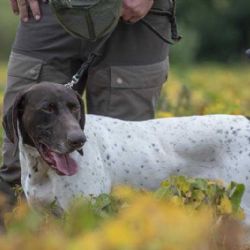 Heda z Radatínky triumfovala na Memoriálu Richarda Knolla
