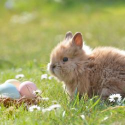 Jarní tvoření a hravé dobrodružství na zámku Žďár nad Sázavou