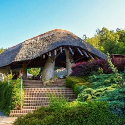 Jihlavská zoo chrání zvířata dezinfekčními rohožemi a zákazem krmení