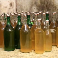 Odstartujte svou vlastní výrobu cideru s kurzem pro začátečníky