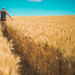 Podpora pro zemědělce - lepší podmínky pro konkurenceschopnost