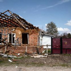 Renovace sokoloven v Česku: uspěch i komplikace