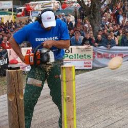 Václav Klíma z Vysočiny zazářil na Stihl Timbersports v Miláně