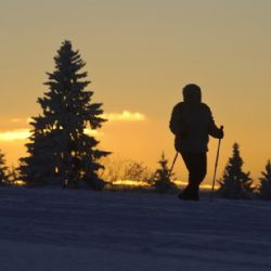 Vysočina získala třetí nejvyšší počet hlasů v anketě Kraj mého srdce 2020
