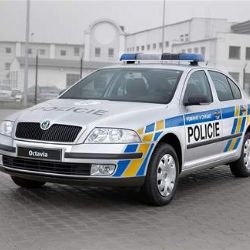 Policisté žádají veřejnost o spolupráci