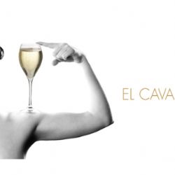 Španělská kosmetická značka PERLAGE má nový web