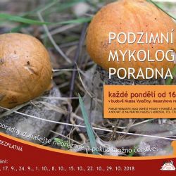 Už jen do konce září bude hrad Roštejn otevřen veřejnosti