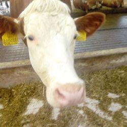 V minulém týdnu se uskutečnila odborná exkurze pro vítěze druhého ročníku soutěže Zemědělství a lesnictví na Vysočině