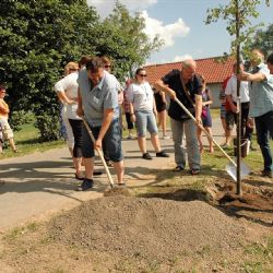 Vesnicí roku Kraje Vysočina je Vepříkov