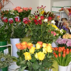 Nové květinářství v Havlíčkově Brodě: originalita, dostupná cena i osobní doručení