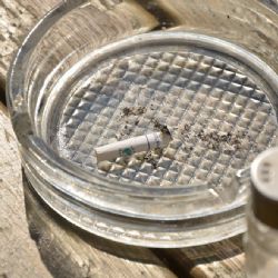 Tržby restauracím v Brodě neklesají, hostinští ale zákaz kouření přesto kritizují