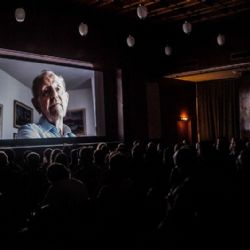 Ji.hlavská středa politika a příroda, čtvrtek se sociálními tématy