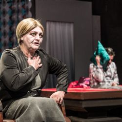 Do širší nominace Cen Thálie byla vybrána Anna Bazgerová z Horáckého divadla Jihlava