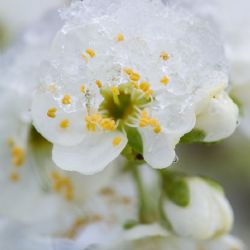 Dubnový sníh zkomplikoval dopravu na Vysočině