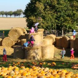 Dýňový svět u Leštiny láká na podzimní Vysočinu