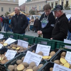Havlíčkův Brod hostil 26. Bramborářské dny