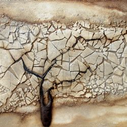 Jana Mikysková bude vystavovat v meziříčském muzeu 