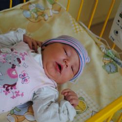 Novorozené děti v nemocnicích v Třebíči a Jihlavě bude hlídat 15 nových monitorů dechu 