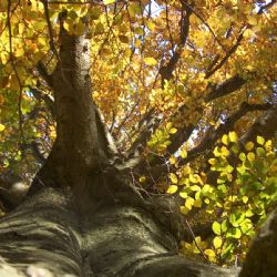 O víkendu otevře své brány i zámecký park v Proseči-Obořišti