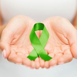 Poslední květnovou středu se rozsvítí Lannerův dům v Telči zeleně