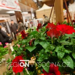 Sobotní počasí výstavě Zahrada přálo