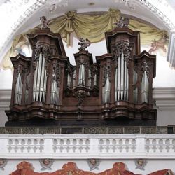 V Polné budou světit unikátní varhany