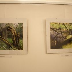 Výstava kreseb a fotografií jaroměřického rodáka Jana Vejtasy