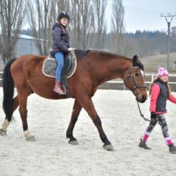  Předvelikonoční jarmark a výstava traktorů v Plandrech